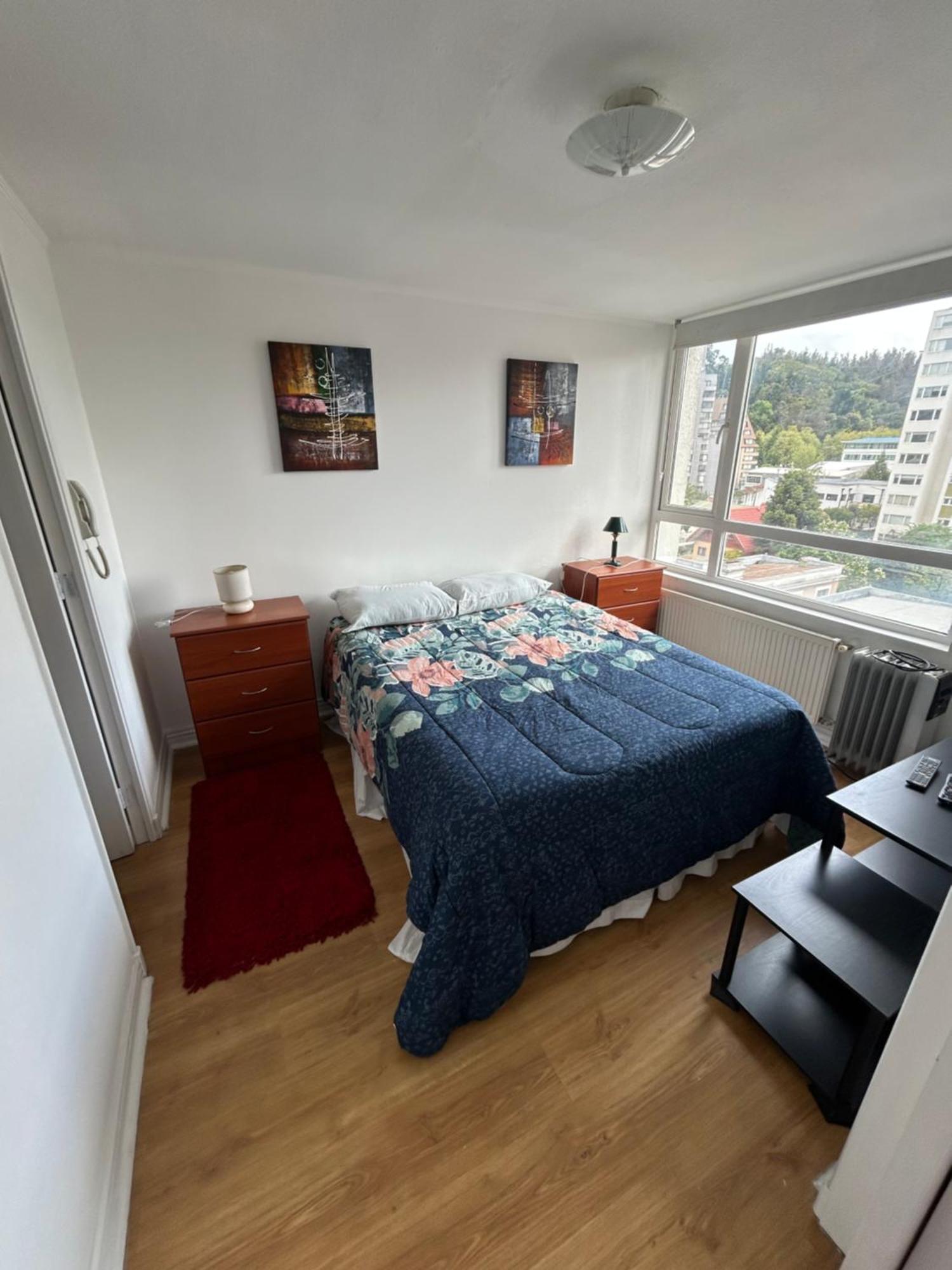 Apartamento Mirador Parque Concepción Exterior foto
